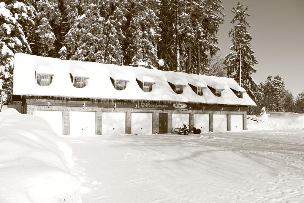 Hotel Karl Železná Ruda Exterior foto